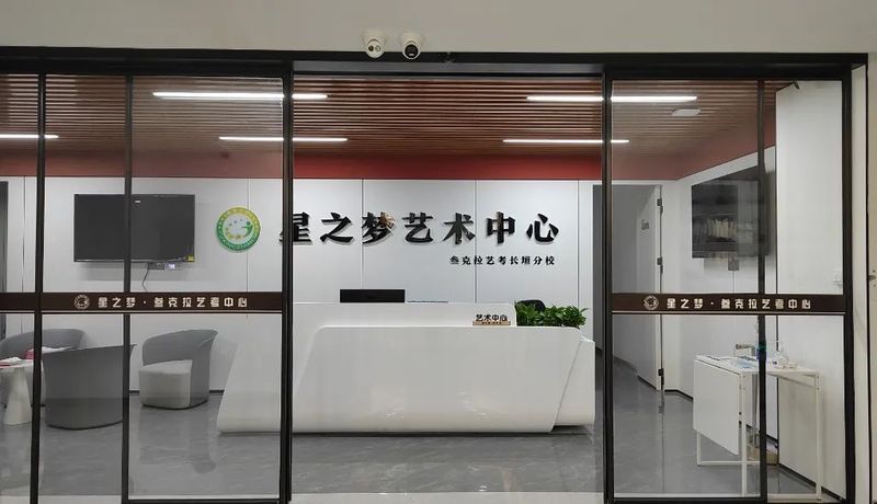 星之夢藝術教育集團簡介